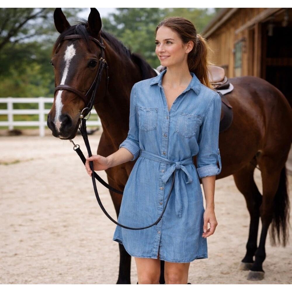 Velvet Heart NEW Chambray Shirt Dress Medium Blue Tencel Denim Roll Tab Slv NWT